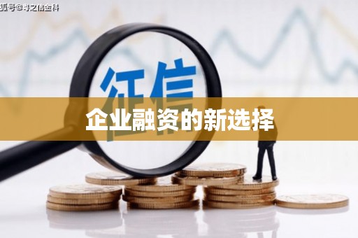 洞口企业融资的新选择