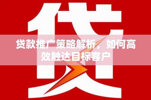 洞口贷款推广策略解析，如何高效触达目标客户