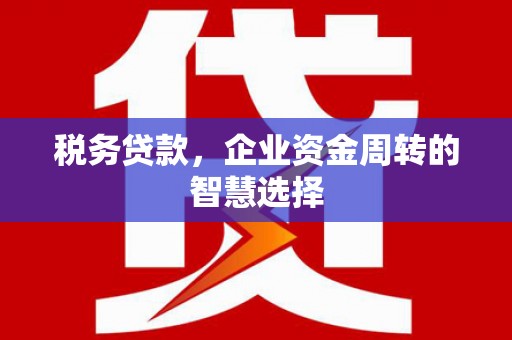 洞口税务贷款，企业资金周转的智慧选择