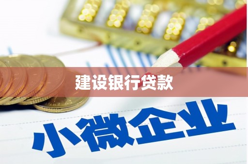洞口建设银行贷款