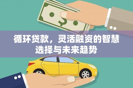 洞口循环贷款，灵活融资的智慧选择与未来趋势