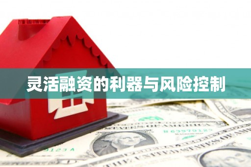 洞口灵活融资的利器与风险控制