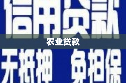 洞口农业贷款