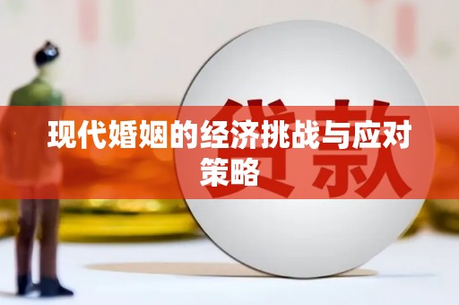 洞口现代婚姻的经济挑战与应对策略