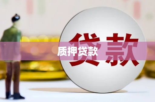 洞口质押贷款