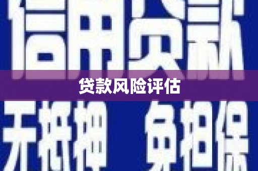 洞口贷款风险评估