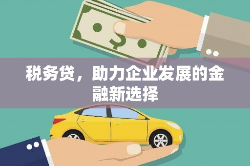 洞口税务贷，助力企业发展的金融新选择