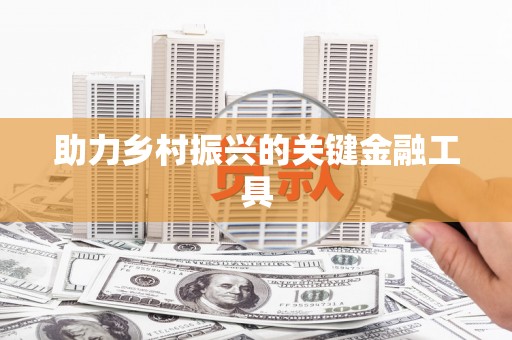 洞口助力乡村振兴的关键金融工具