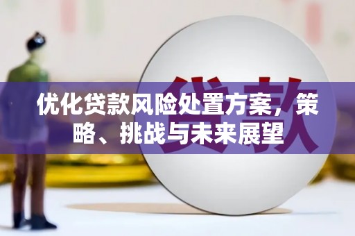 洞口优化贷款风险处置方案，策略、挑战与未来展望