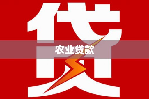 洞口农业贷款