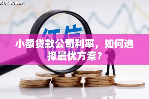 洞口小额贷款公司利率，如何选择最优方案？