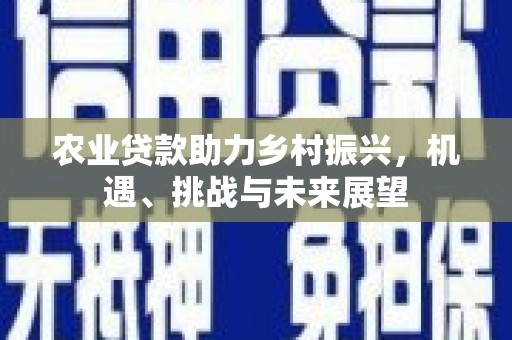 洞口农业贷款助力乡村振兴，机遇、挑战与未来展望