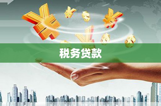 洞口税务贷款