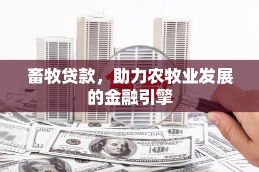 洞口畜牧贷款，助力农牧业发展的金融引擎