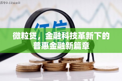 洞口微粒贷，金融科技革新下的普惠金融新篇章