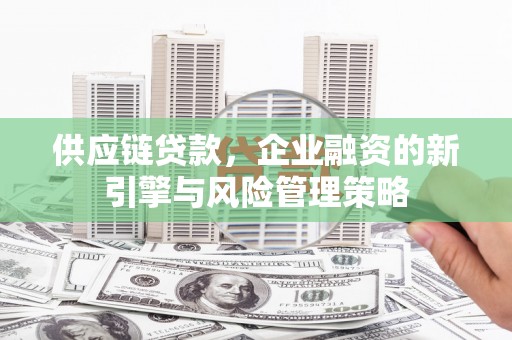 洞口供应链贷款，企业融资的新引擎与风险管理策略