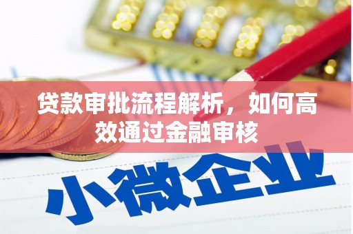 洞口贷款审批流程解析，如何高效通过金融审核