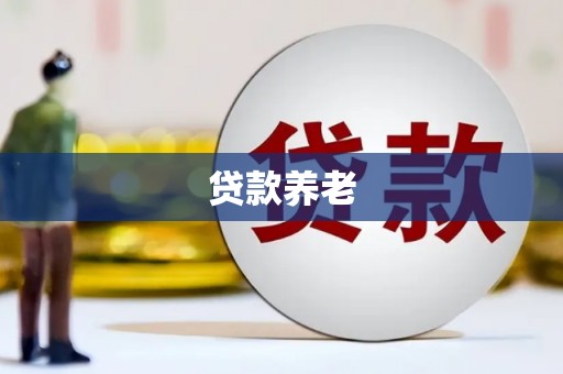 洞口贷款养老