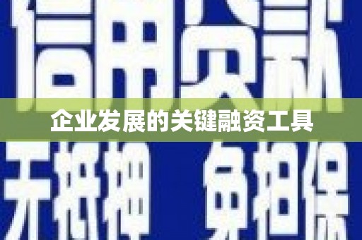 洞口企业发展的关键融资工具