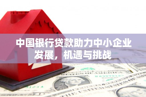 洞口中国银行贷款助力中小企业发展，机遇与挑战