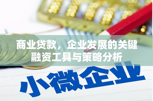 洞口商业贷款，企业发展的关键融资工具与策略分析