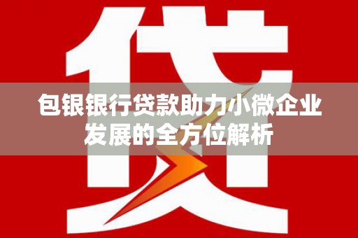 洞口包银银行贷款助力小微企业发展的全方位解析