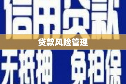 洞口贷款风险管理