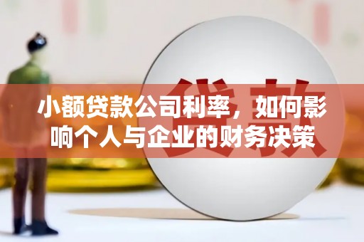 洞口小额贷款公司利率，如何影响个人与企业的财务决策