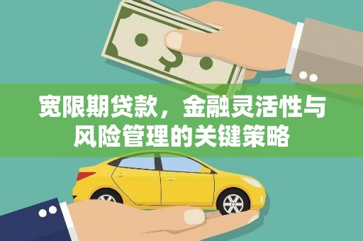 洞口宽限期贷款，金融灵活性与风险管理的关键策略