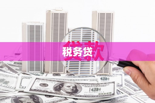 洞口税务贷