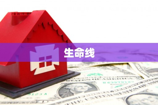 洞口生命线