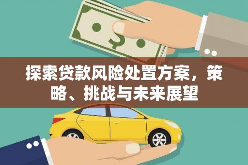 洞口探索贷款风险处置方案，策略、挑战与未来展望