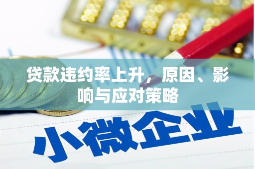 洞口贷款违约率上升，原因、影响与应对策略