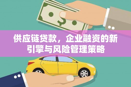 洞口供应链贷款，企业融资的新引擎与风险管理策略