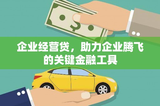 洞口企业经营贷，助力企业腾飞的关键金融工具