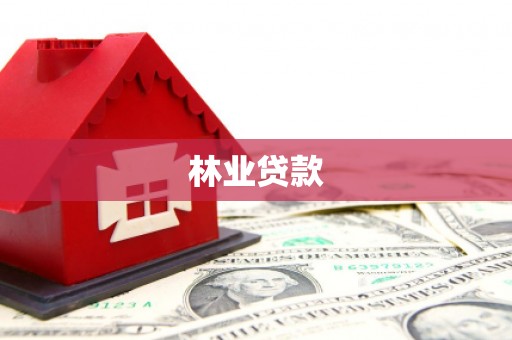 洞口林业贷款