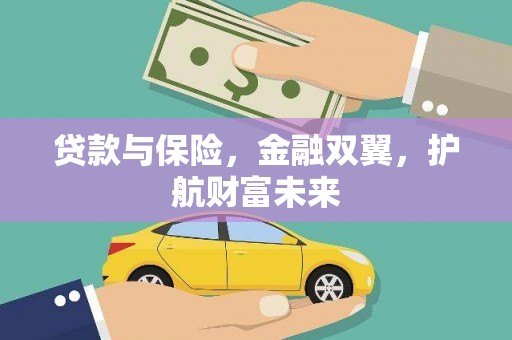 洞口贷款与保险，金融双翼，护航财富未来