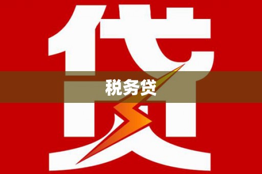 洞口税务贷