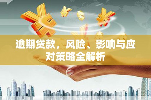 洞口逾期贷款，风险、影响与应对策略全解析