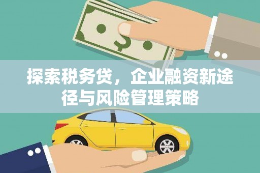 洞口探索税务贷，企业融资新途径与风险管理策略
