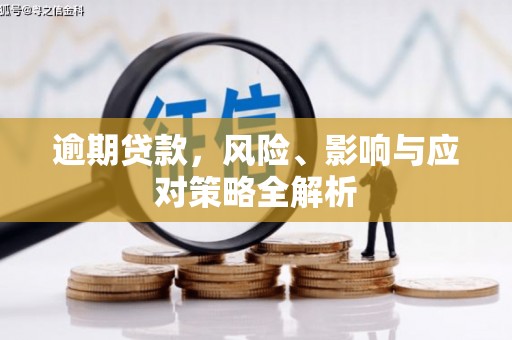 洞口逾期贷款，风险、影响与应对策略全解析