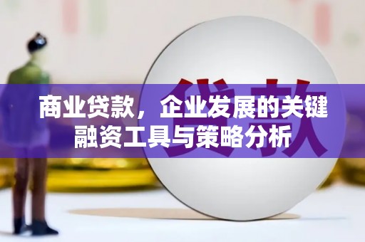 洞口商业贷款，企业发展的关键融资工具与策略分析