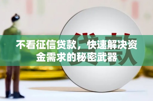 洞口不看征信贷款，快速解决资金需求的秘密武器