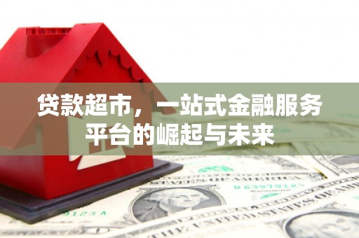 洞口贷款超市，一站式金融服务平台的崛起与未来