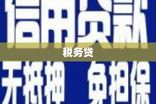 洞口税务贷
