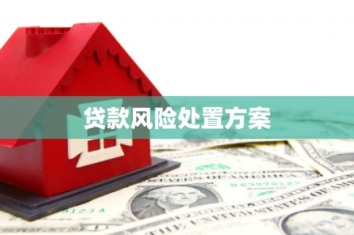 洞口贷款风险处置方案