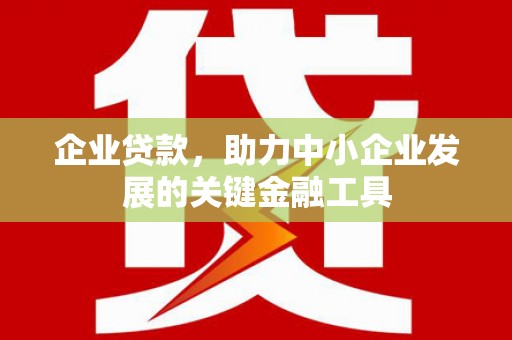 洞口企业贷款，助力中小企业发展的关键金融工具