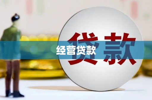 洞口经营贷款