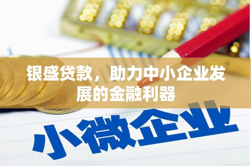 洞口银盛贷款，助力中小企业发展的金融利器