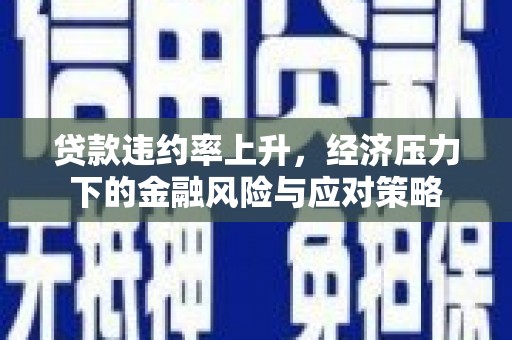 洞口贷款违约率上升，经济压力下的金融风险与应对策略